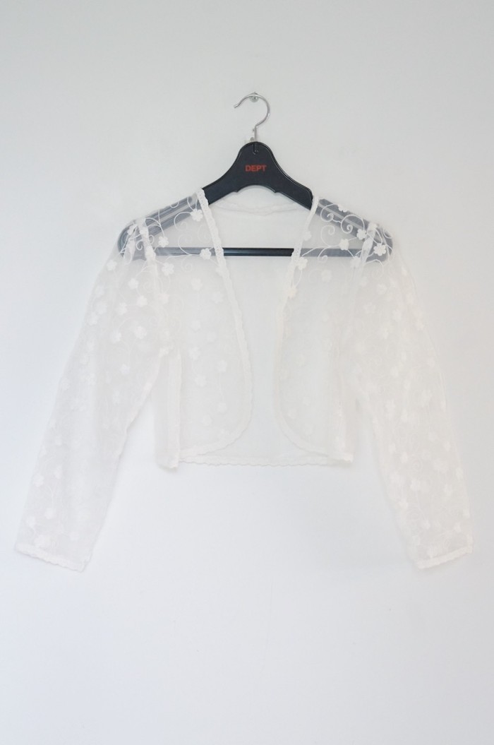 Flower embroidered cropped sheer blouse